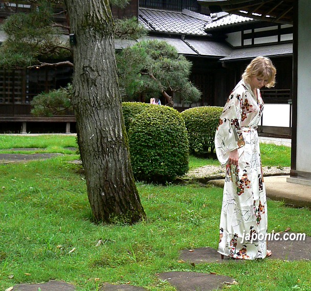 japanese womna's pure silk kimono modern